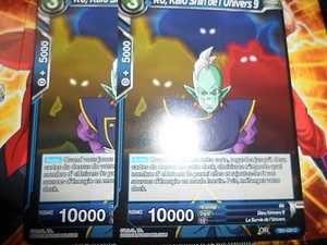 DRAGON BALL SUPER RÔ KAIO SHIN DE L'UNIVERS 9 TB1-034 C PLAYSET (LOT 2) FR NEUF - Picture 1 of 1