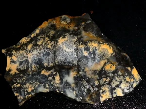 Dendtritic Opal 4 1/4 " x 3 1/8"-rough -cabbing-display--NEW - Picture 1 of 3