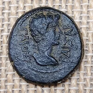 Imperatore Romano Caligola Autentica Autentica Moneta Provinciale Antica Bronzo con Certificato di autenticità - Foto 1 di 3