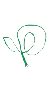 Groomer Essentials 4' cables de perrera - paquete de 12 - verde - verde - cables deslizantes para perros - Imagen 1 de 1