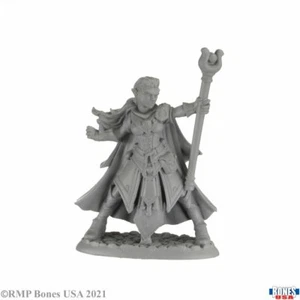 1x ALAEDRIL STARBLOOM- BONES REAPER figurine miniature rpg jdr elf wizard 30008 - Imagen 1 de 1