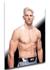 Poster Sport - UFC MMA Mixed Martial Arts - HOOKER DAN