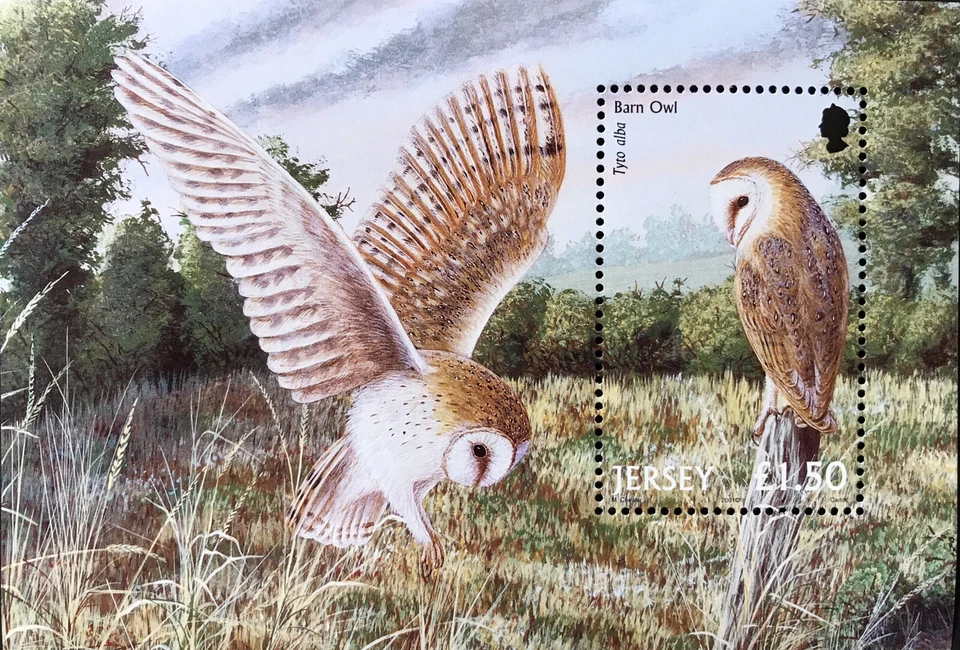 2001 MNH JERSEY OWL STAMPS SOUVENIR SHEET BARN OWL BIRD STAMPS BIRDS - Image 1 of 1