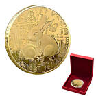 Gold Collectible Coins 2023 Year Of The Rabbit Commemorative Coin Lucky Coin