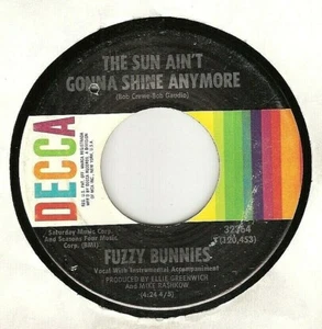 45RPM, FUZZY BUNNIES ' SUN AIN'T GONNA SHINE ANYMORE' EX PSYCH ROCK - Bild 1 von 2
