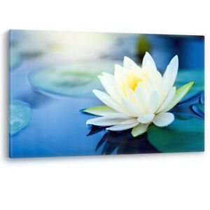 White Lotus Flower in a Pond Luxury Large Canvas Wall Art Picture Print