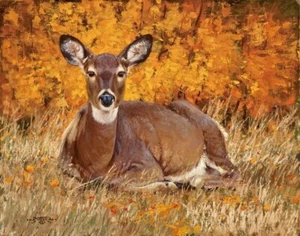 Wildlife Art John Potter Deer Doe Autumn Landscape Signed numbered #1/150 11X14 - Picture 1 of 1