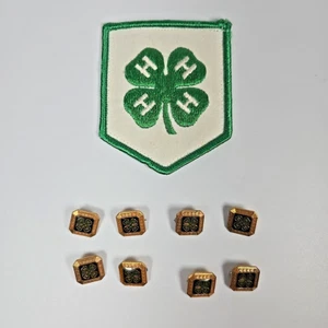 Lote de parches y 8 prendedores de trébol de 4 hojas membresía club 4H 4-H primer octavo 1-8 de colección - Imagen 1 de 20