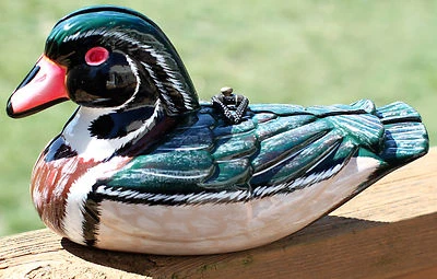 TIMMY WOODS MANDARINA PATO ASIÁTICO INCREÍBLE TALLADO A MANO MINAUDIERE BOLSO CLUTCH Foto 1 de 4