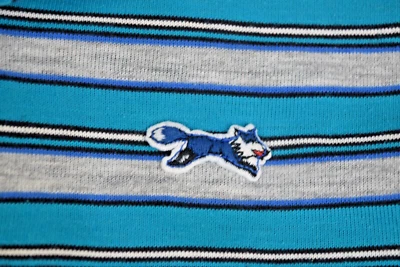 Camisa polo vintage manga larga JC Penney The Fox niño talla 8 años 80 gris azulado rayas Foto 1 de 4