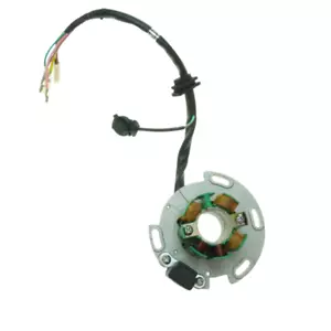 LIFAN W150 150cc Magneto Stator Plate Dirt Bike Pit ATV QUAD BUGGY - Picture 1 of 5
