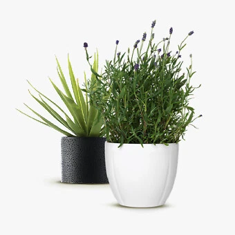 Pots et jardinières