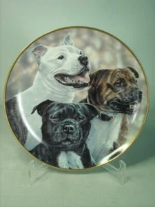 Danbury Mint PLAYFUL TRIO Plate Staffordshire Bull Terrier Paul Doyle - Picture 1 of 3
