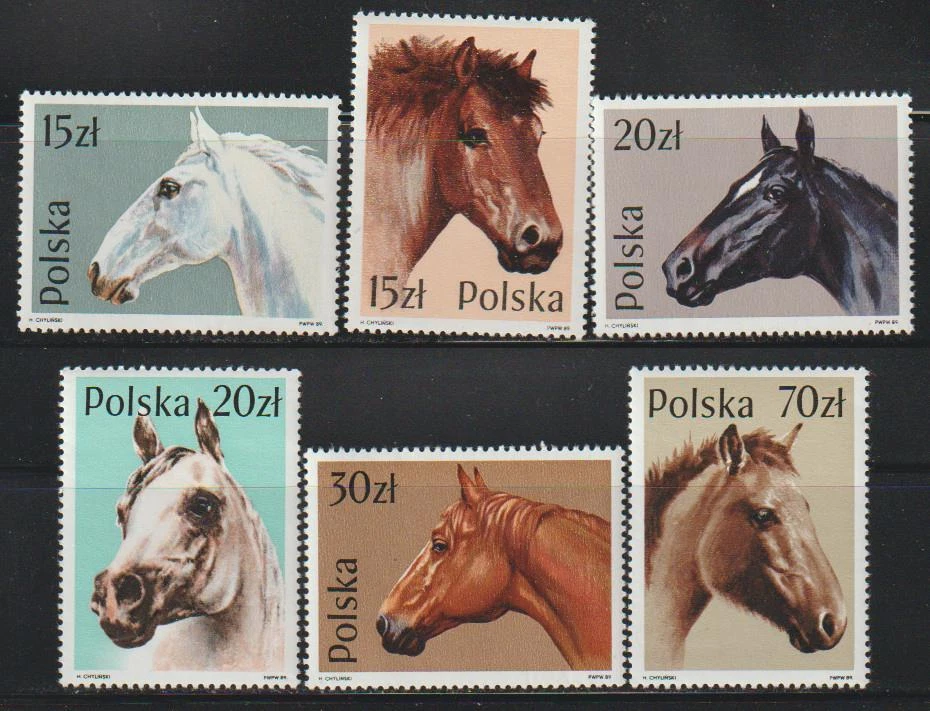 波兰 1989 年马匹邮票 SC2894-99 6v 全新 POL90 — 第 1/1 张图片