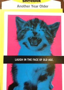 Shoebox, Fun Birthday Card for FRIEND, "Laugh In The Face of OLD AGE" SB13 - Picture 1 of 3