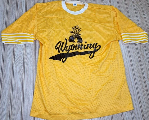 vtg University Wyoming Cowboys Mesh Ringer Jersey Shirt U of W Nylon M Artex Men Cover