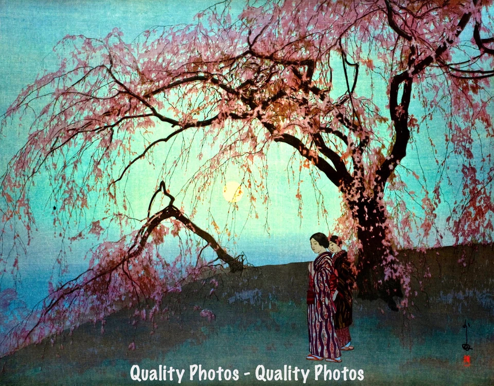 Cherry Trees 8.5x11" Photo Print Hiroshi Yoshida Kumoi Zakura Japanese Tree Art - Image 1 of 1