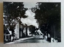 Cartolina Raiano (AQ) - Viale della Stazione - Non Viaggiata