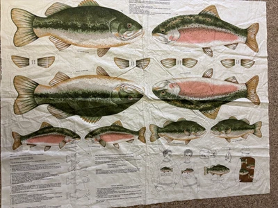 De colección Cranston Trucha Bajo Pez Tela Panel Corte Coser Almohada Apliques Cabina Decoración Foto 1 de 4