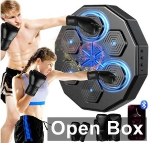 BEEWAY XP-Pro - 2.0 Smart Bluetooth Music Boxing Wall-Mounted Exercise Equipment - Imagen 1 de 11