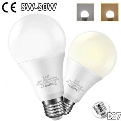 LED Bulb E27 Warm White Cool White Cool/Warm White Ball Light Light Bulb 30W - Image 1 of 4