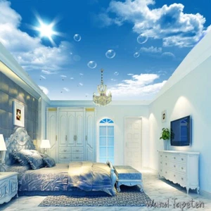 Fotomurales no tejidos papeles pintados de techo cuadros de techo nubes blancas y motivo de diente de león 3046 - Imagen 1 de 5