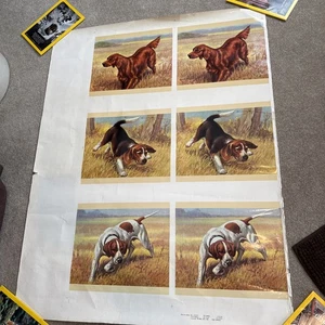 Póster ilustrativo antiguo 1953 con impresiones de perros Edwin Megargee - Imagen 1 de 7