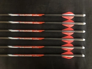 Black Eagle Executioner 20" .003 Crossbow Bolts 2" Vanes 1/2 Dozen BRAND NEW - Picture 1 of 4