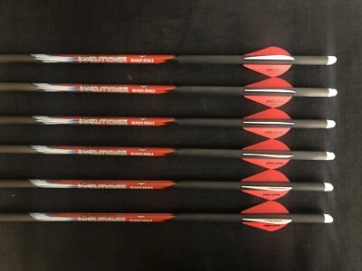 Болты арбалета Black Eagle Executioner 22 дюйма .003 2 дюйма лопасти 1/2 дюжины СОВЕРШЕННО НОВЫЕ - Изображение 1 из 4