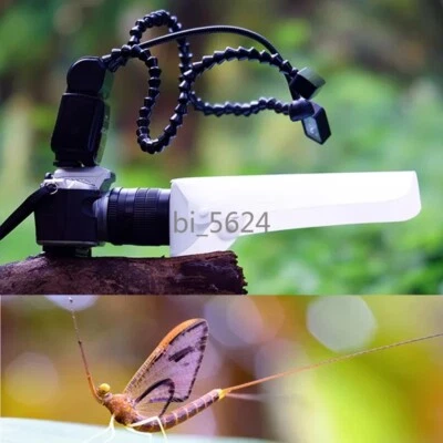 Macro Photography Reflector Cover Diffuser Board 46-72mm Insect Jewelry Shooting - Image 1 of 4