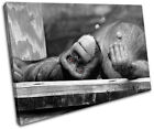 Chimpanzee Monkey Animal Wildlife Canvas Art Picture Print Decorative Photo