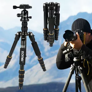 ZOMEI Portable Professional Tripod&Ball Head Travel for Canon DSLR Camera - Picture 1 of 12