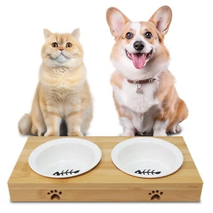 Elevated Ceramic Dog & Cat Bowls Set with Raised Stand for Small Pet & All Sized - Picture 1 of 10