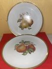 Hutschenreuther  Wallace China ~2 Fruit Plates Germany peaches and pears blossom