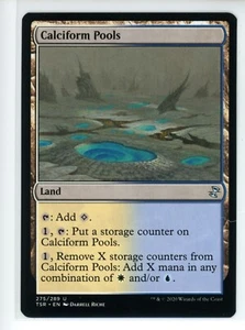 CALCIFORM POOLS Time Spiral Remastered #275 TSR(NM)(MTG) - Picture 1 of 1