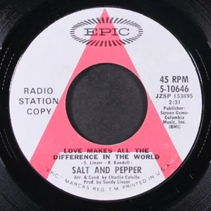 SALT & PEPPER: love makes all the difference in the world EPIC 7" Single 45 RPM - Picture 1 of 2