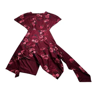Mia Joy Girls Asymmetrical Hem Burgundy Floral Dress Size 6 Years - Picture 1 of 4