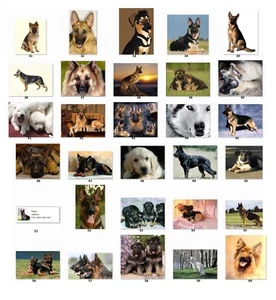 Personalized German Shepherds Return Address Labels  (ger2) - Picture 1 of 3