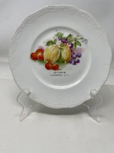 White + Fruit 6.5" Fennimore Wisconsin Souvenir Plate Made by Sevres China ~1900 - Picture 1 of 6