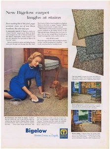 1956 Tappeti bassotto Bigelow stampa annuncio - Foto 1 di 1