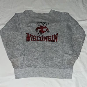 Vintage 80s Champion Sweatshirt Kids Youth Size Med 10-12 Wisconsin Badgers USA - Picture 1 of 10