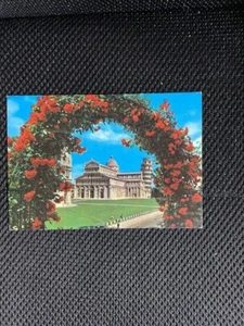 Cartolina Formato Grande Pisa (PI) Piazza dei miracoli con fiorni Non Viaggiata - Picture 1 of 1