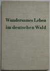 Wundersames Leben Im Deutschen Wald   Wilhelm Hochgreve