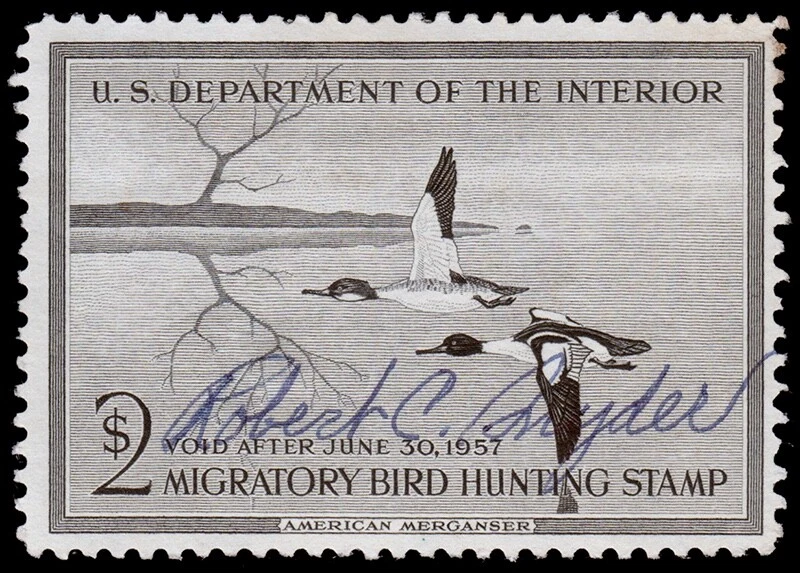 United States Hunting Permit Stamp Scott RW23 (1956) Used/Signed F, CV $12.50 W - Image 1 of 1