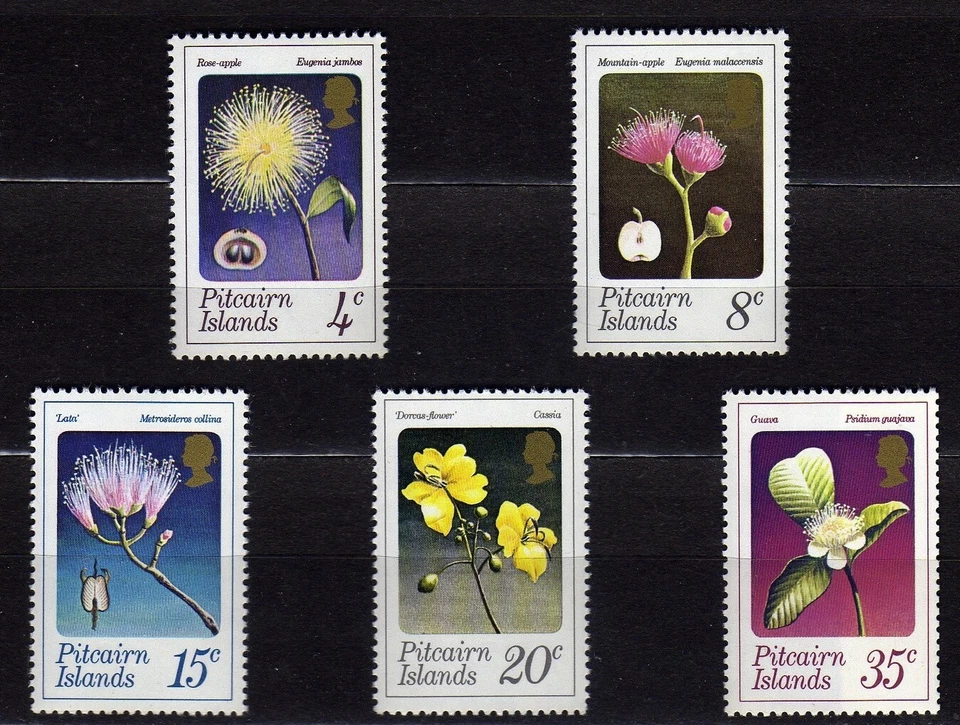 PITCAIRN ISLANDS #130-134 MNH FLOWERS NATIVE TO PITCAIRN - Image 1 of 1