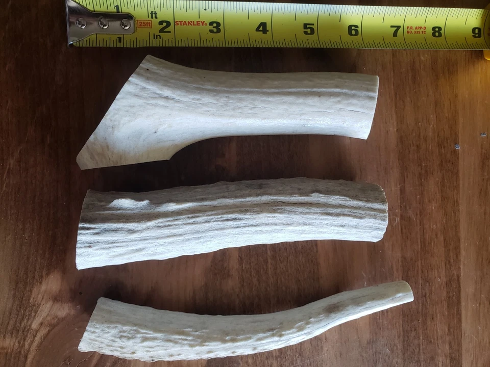 Medium Elk Antler Dog Chews B Grade Antler (3pc). - Image 1 of 1
