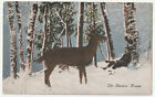 c1900’s Sleeping Hunter’s Dream Buck Snow Forest Deer Hunting VTG Postcard