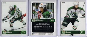 ROGLE BK - SHL Elitset [2012/13] **** PICK YOUR CARD ****