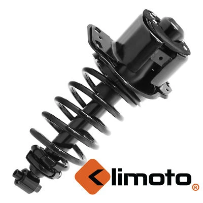 Rear Right Complete Strut assembly for 2005-2007 Ford  Five Hundred KLI29U497 Foto 1 de 2