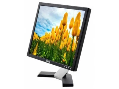 NEW Dell E-Series E177FP 17" Flat Panel LCD Monitor 1280x1024 5:4 VGA * - Image 1 of 4